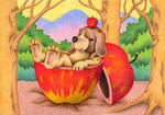 犬・リンゴ・林檎の実・森の中・リラックス・休息